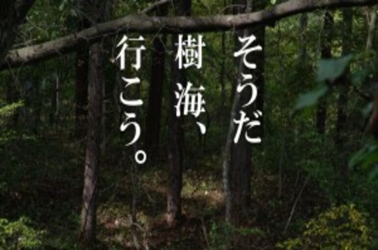 image14-300x168
